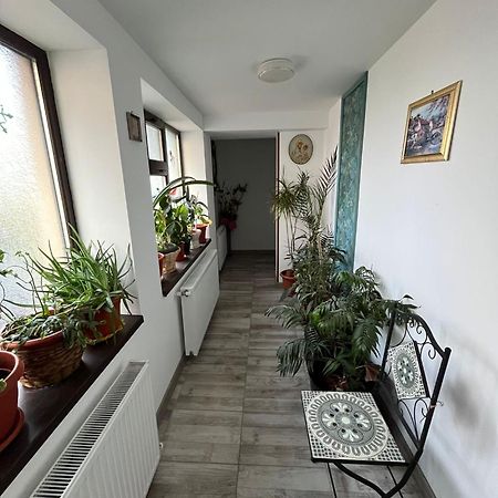 Solaria Budget Studio Galaţi Eksteriør billede
